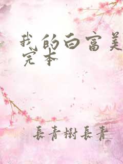 我的白富美老婆完本