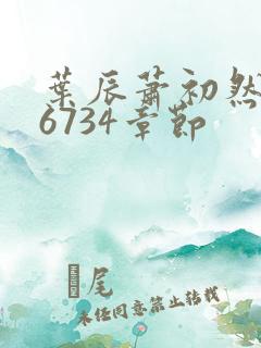 叶辰萧初然最新6734章节