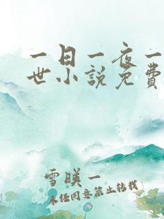 一日一夜一年一世小说免费阅读