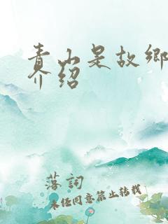 青山是故乡分集介绍