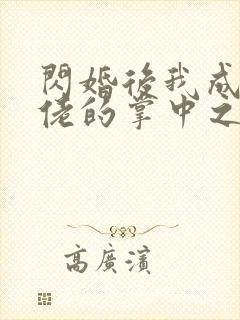 闪婚后我成了大佬的掌中之物免费阅读