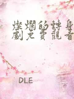 灿烂的转身电视剧免费观看全集高清