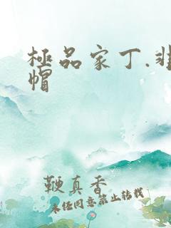 极品家丁.非绿帽