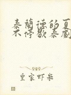 泰兰德的夏天永不停歇泰剧在线看