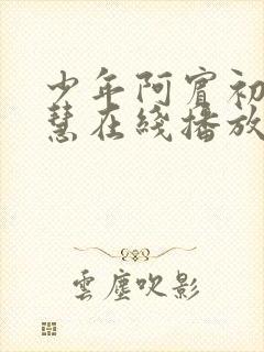 少年阿宾初识钰慧在线播放