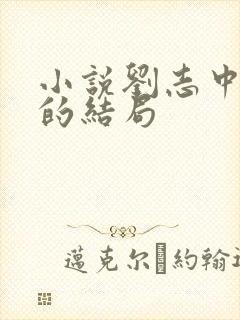 小说刘志中赵嫣的结局