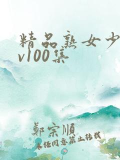 精品熟女少妇av100集