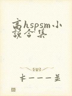 高hspsm小说合集