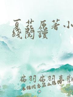 夏花原著小说在线阅读