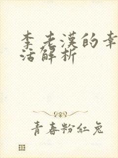李老汉的幸福生活解析