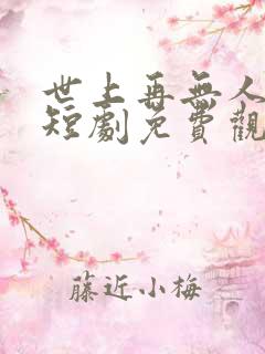 世上再无人爱我短剧免费观看