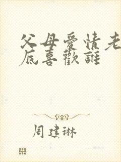父母爱情老丁到底喜欢谁