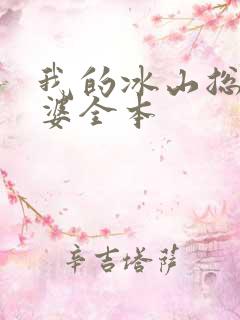 我的冰山总裁老婆全本