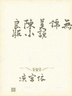 良陈美锦无删减版小说