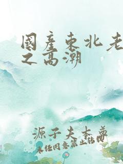国产东北老女人之高潮