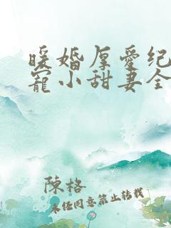暖婚厚爱纪总独宠小甜妻全集完整版