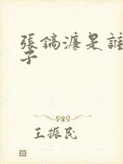 张镐濂是谁的儿子