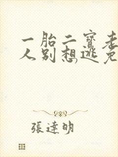 一胎二宝老婆大人别想逃免费阅读