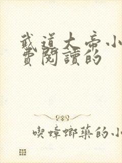 武道大帝小说免费阅读的