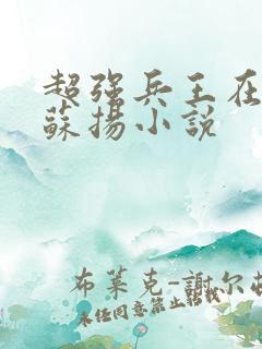 超强兵王在都市苏扬小说