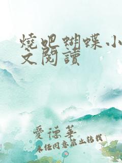 烧吧蝴蝶小说全文阅读