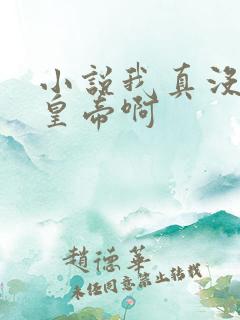 小说我真没想当皇帝啊