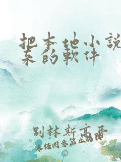 把本地小说读出来的软件