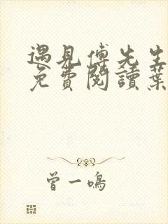 遇见傅先生全文免费阅读叶繁星