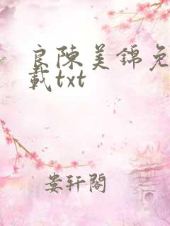 良陈美锦免费下载txt