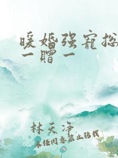 暖婚强宠总裁娶一赠一