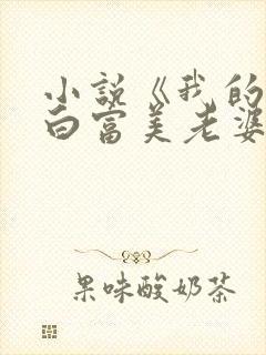 小说《我的总裁白富美老婆》