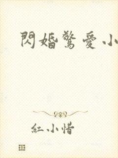闪婚惊爱小说