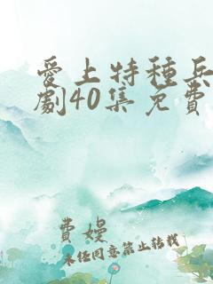 爱上特种兵电视剧40集免费观看