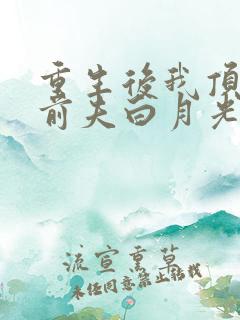 重生后我顶替了前夫白月光有声版