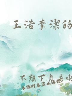 王浩李洁的小说