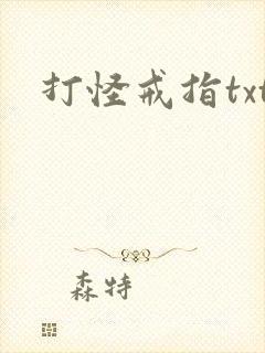 打怪戒指txt