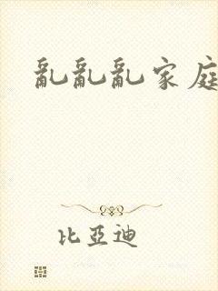 乱乱乱家庭小说
