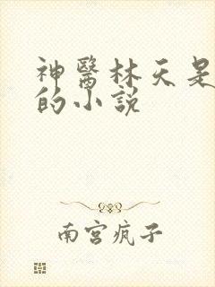 神医林天是主角的小说