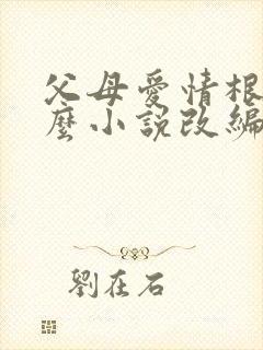 父母爱情根据什么小说改编