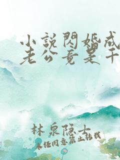 小说闪婚成宠,老公竟是千亿大佬