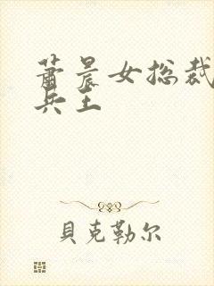 萧晨女总裁全能兵王