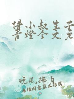 借小叔生子by青灯全文免费阅读小说