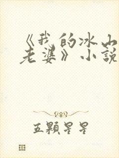 《我的冰山美女老婆》小说