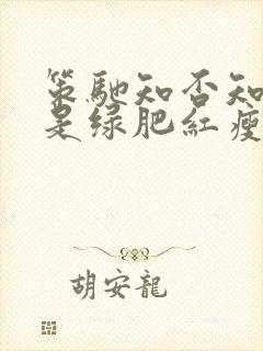 策驰知否知否应是绿肥红瘦在线观看