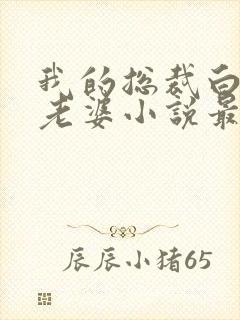 我的总裁白富美老婆小说最新更新