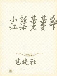 小说某某盛望/江添免费下载
