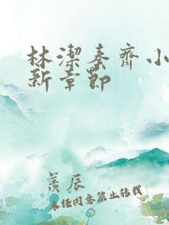 林洁秦齐小说最新章节