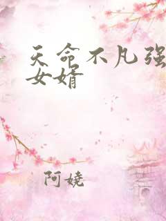 天命不凡强子坏女婿