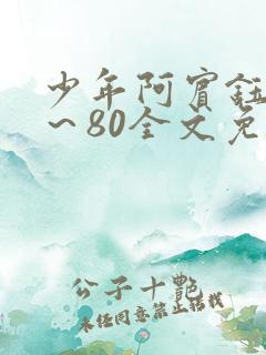少年阿宾钰慧1～80全文免费