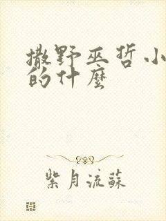 撒野巫哲小说讲的什么
